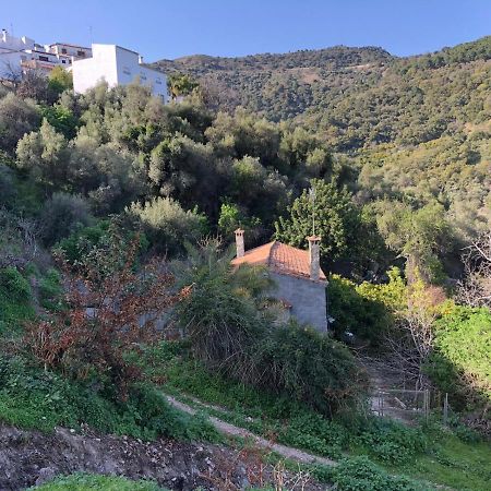 Molino De Santos Villa Benarrabá Dış mekan fotoğraf