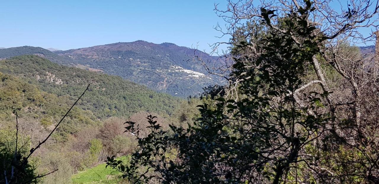 Molino De Santos Villa Benarrabá Dış mekan fotoğraf